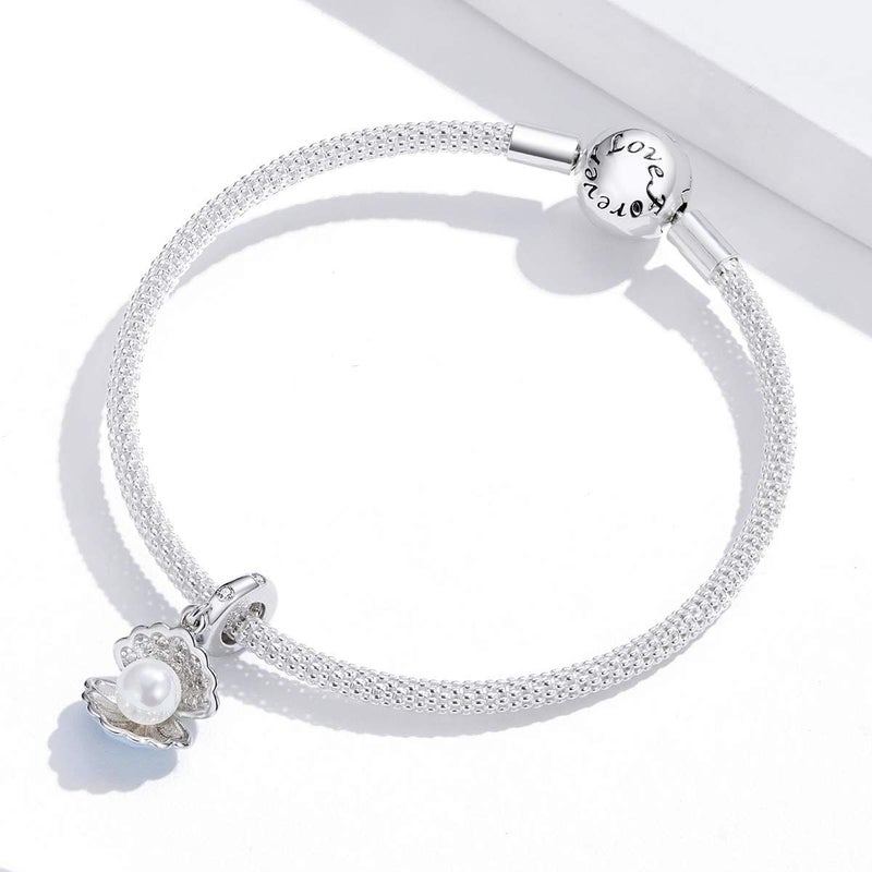 VOROCO Store Coffee Moon Star Dream Catcher Charms for Bracelet 925 Sterling Silver Dangle & Beads Charm for Charm Bracelet and Necklace DIY Charm Jewelry Gifts for Women - Image 1